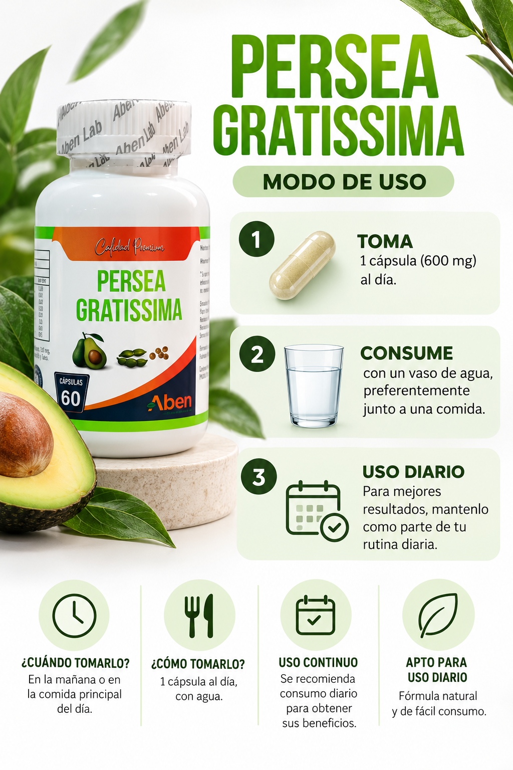 Persea Gratissima - Imagen 6