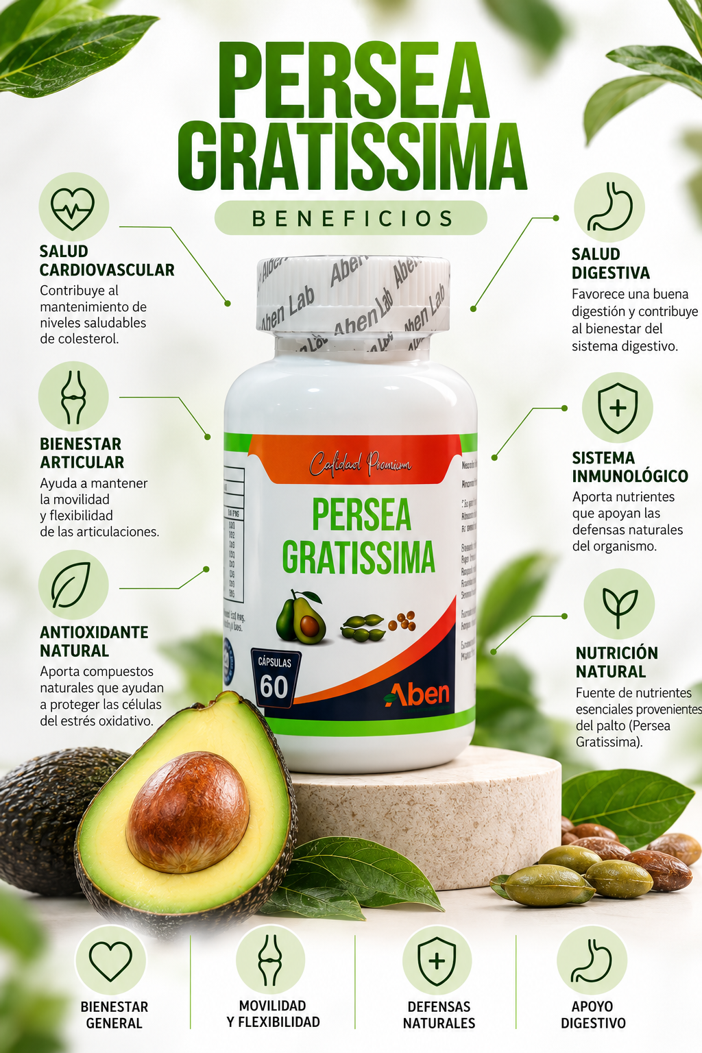 Persea Gratissima - Imagen 4
